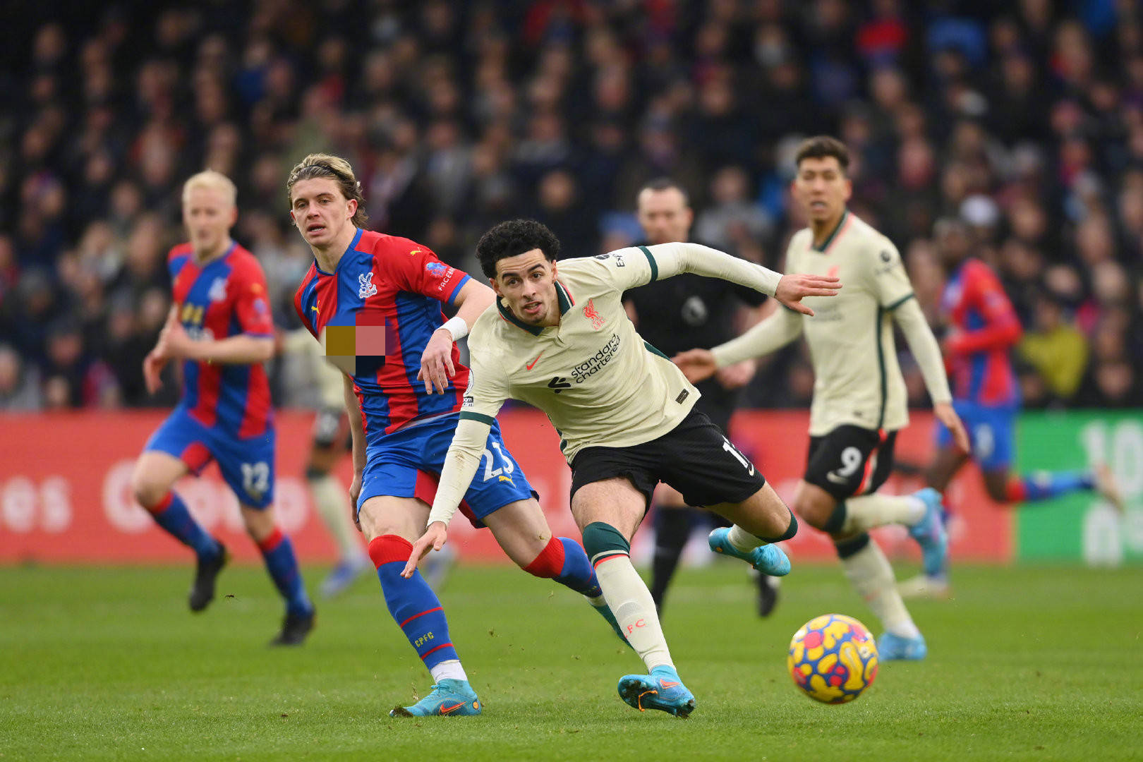 法的统一性 法的统一性